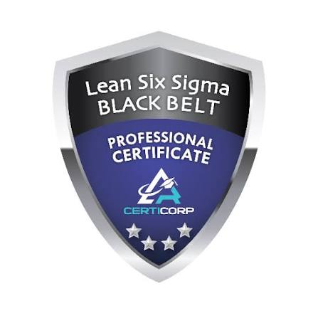 Lean Six Sigma Black Belt